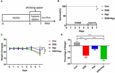 Hypoxia Augments Cerebral Inflammation in a Dextran Sulfate Sodium-Induced Colitis Mouse Model